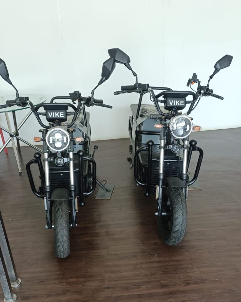Premium Cargo Electric Bikes India