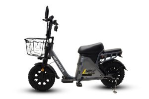 Electric Scooter and EV Bike in India