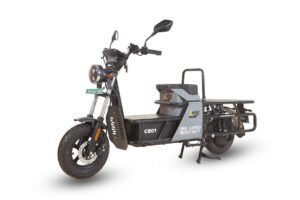 Best Cargo Heavy Duty Bikes in Tamilnadu