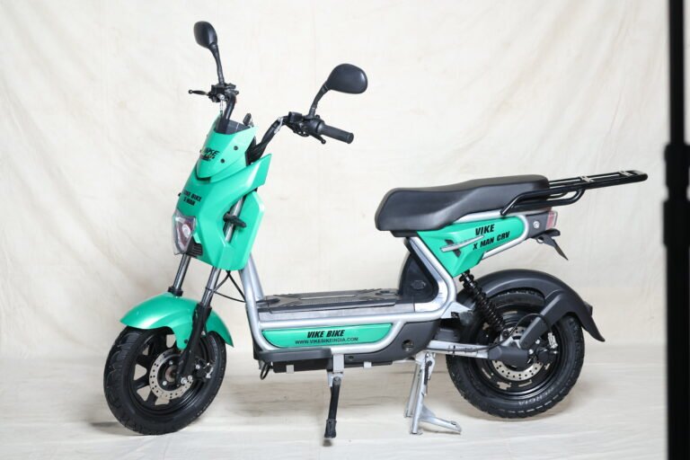 Best Cargo Electric Bikes India