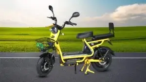 Home Vike Bike 19 Electric Bike Manufacturers in Tamil Nadu